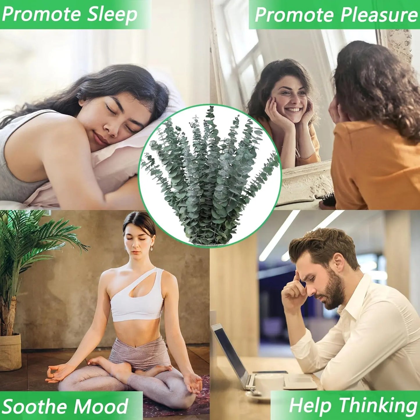 12 Pcs Dried Eucalyptus Stems 17 Inch – Real Eucalyptus for Shower Hanging and Home Decor HomeZing