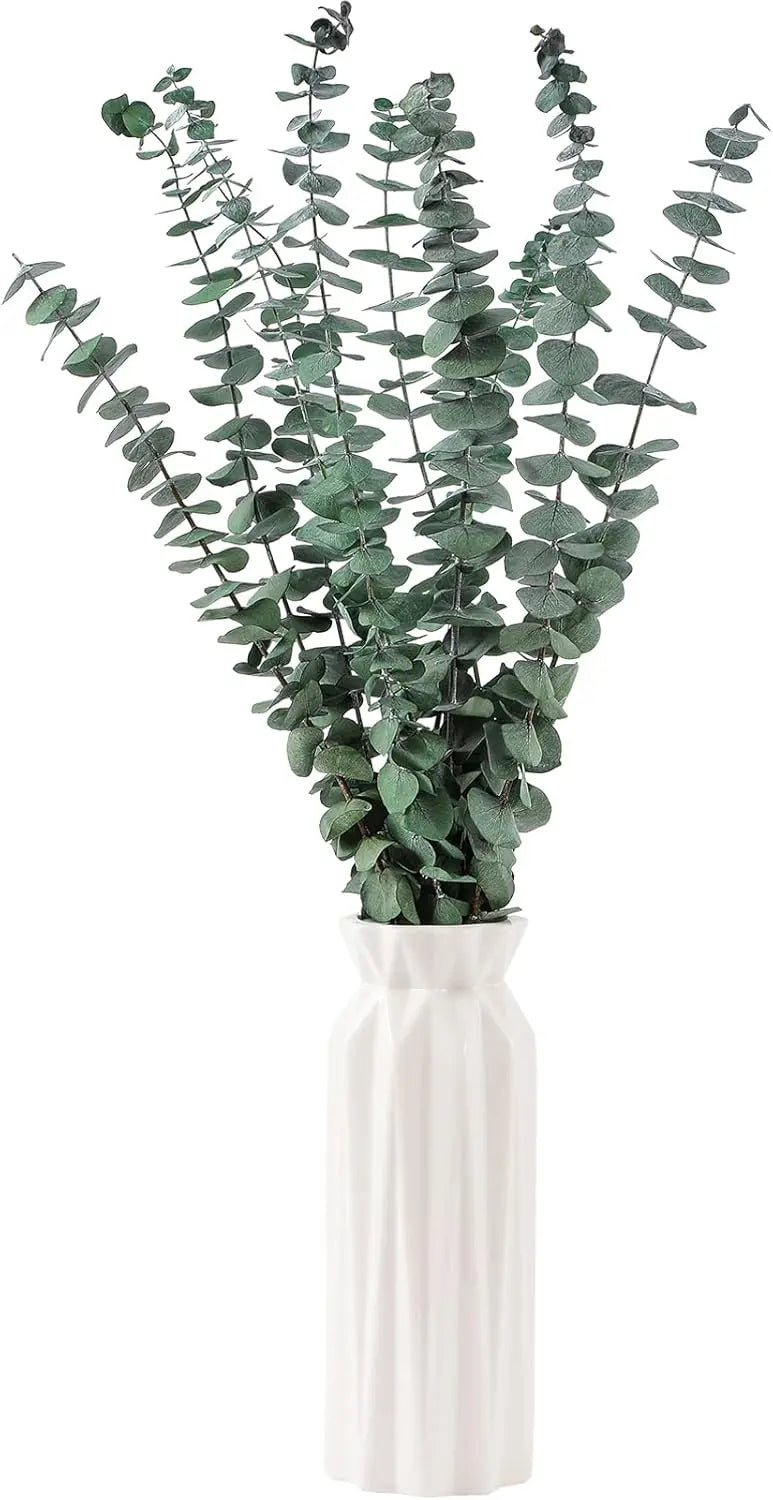 10 Pcs Dried Eucalyptus Stems 17 Inch – Real Eucalyptus for Shower Hanging and Home Decor