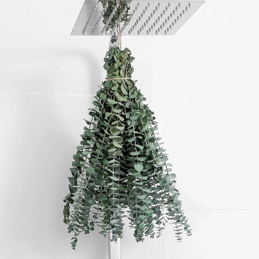 12 Pcs Dried Eucalyptus Stems 17 Inch – Real Eucalyptus for Shower Hanging and Home Decor HomeZing